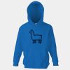 Kids premium hooded sweatshirt Thumbnail