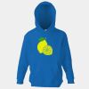 Kids premium hooded sweatshirt Thumbnail
