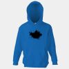 Kids premium hooded sweatshirt Thumbnail
