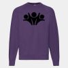 Classic 80/20 raglan sweatshirt Thumbnail
