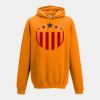 College hoodie Thumbnail